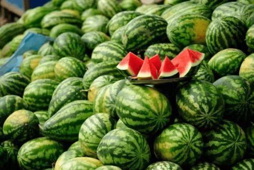 抖音康县网红吃瓜,抖音美食之旅 第2张 抖音康县网红吃瓜,抖音美食之旅 第2张